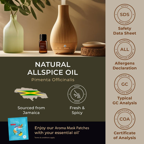 Gya Labs Allspice Essential Oil - 0.34 Fl Oz 100% Pure Natural Oil for Diffuser, Skin, and Candle Making