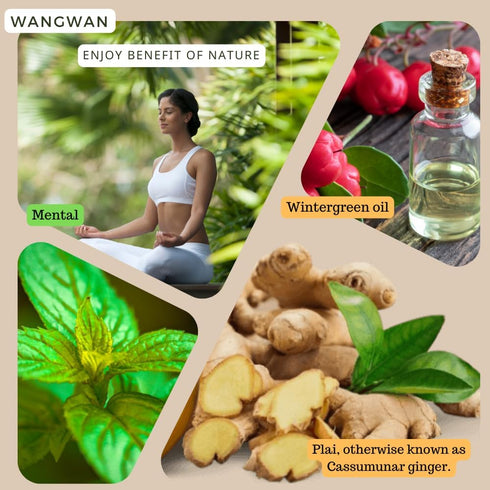 Wangwan Concrete Organic Remedy Massage Oil, Soothing Relief for Muscle and Joint Comfort, Herbal Relief (8CC)