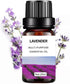 HimAoto Set, 4 Pack, 20ml Essential Oils (Lavender, Rose, Lemon, Orange) for Water Air Purifiers, Home Fragrance