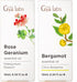 Rose Geranium Essential Oil for Skin & Bergamot Oil for Diffuser Set