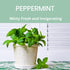 All-Purpose Cleaner Spray, Peppermint, 100% Natural, Safe for Home, Kitchen, Bath, 25 oz (Pack of 1)