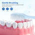 Packaged, (100-PACK) Disposable Toothbrushes with Toothpaste, Light Blue Toothbrush and Toothpaste, Individually