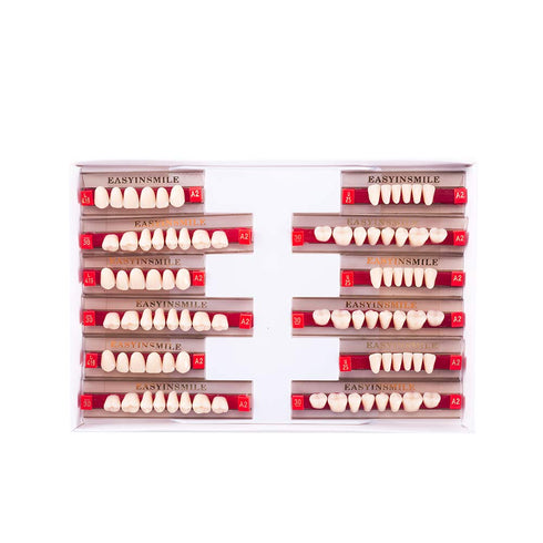 Dental Synthetic Resin Teeth A2 A3, False Upper Lower Teeth Replacement Dentures for Halloween (Full Set A2)
