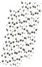 Dog Theme Paw Print Paper Drinking Straws, Black White, 7.75 inches, 50 Pack - Outside The Box Papers Brand