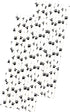 Dog Theme Paw Print Paper Drinking Straws, Black White, 7.75 inches, 50 Pack - Outside The Box Papers Brand