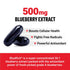 FORCE FACTOR Blueberry Concentrate Antioxidants Supplement with BlueRich Blueberry Extract Supplement, Free Radical Scavenger for Daily Health, Gluten Free, Non-GMO, 90 Softgels