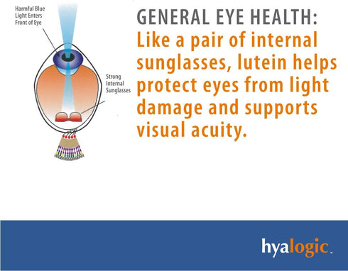 HylaVision Eye Health Supplement Hyalogic - Hyaluronic Acid, Lutein and Zeaxanthin Supplements – 120 Capsules