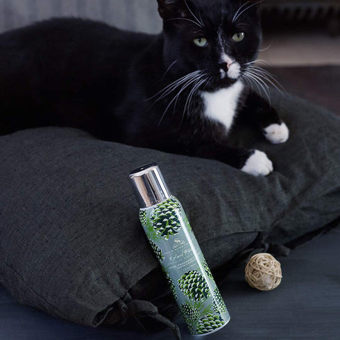 Soap & Paper Factory Roland Pine Non-Aerosol Home Fragrance Spray, 3 fl. oz