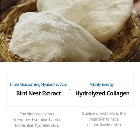 JMsolution Active Birds' Nest Moisture Mask, Korean Skincare Facial Mask, Collagen 10 Sheets
