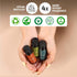 Folkulture Fall Essential Oils Set of 6 - Fragrance Oils for Diffuser, Home, and Oil Diffuser Essential Oils.