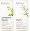 Cinnamon Cassia & Myrrh Essential Oil Set - Aromatherapy Grade Essential Oils