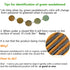Natural Wood Wide Tooth Hair Comb, Green Sandalwood Hair Pick for Men and Women with Free Storage Pouch
