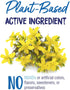 Boiron Hypericum Perforatum 30C Homeopathic Medicine for Nerve Pain, Toothaches, Pain Relief - 3 Count