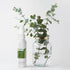 L'EUDINE Refreshing Splash with Eucalyptus Oil, Body & Room Spray, Mint and Aloe Infused (4.0 fl oz)