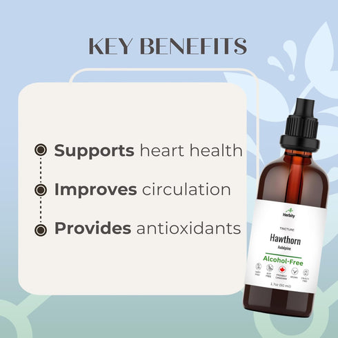 Herbity (1.7 Oz) Hawthorn Berry Herbal Tincture Liquid Extract, Hand Crafted Natural Medicine Remedies Herb Formula