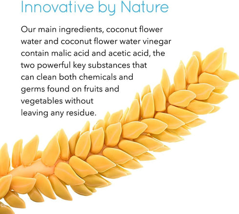 Rain Organic Fruit and Vegetable Wash All Natural Veggie Produce Cleaner for Safe Clean Eating, Baby Essential Eco