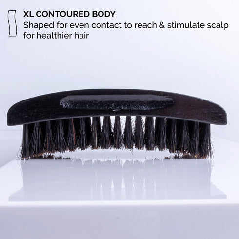 ZEUS Premium Hair Brush for Men, Grooming Beard & Hair Brush, Beech Wood & 100% Boar Bristle