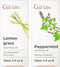 Lemongrass Essential Oil for Diffuser & Peppermint Essential Oil for Diffuser Set