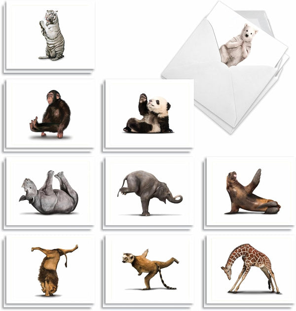 The Best Card Company - 20 Blank Yoga Animal Cards (4 x 5.12 Inch) - Kids Set (10 Designs, 2 Each) - Zoo Yoga