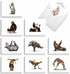 The Best Card Company - 20 Blank Yoga Animal Cards (4 x 5.12 Inch) - Kids Set (10 Designs, 2 Each) - Zoo Yoga
