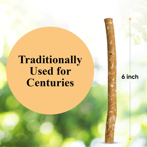 Sewak Al-Falah Miswak (Traditional Natural Toothbrush) - 10 Pack