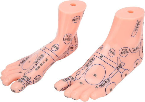 Foot Acupuncture Model, Human Feet Reflexology Acupuncture Point Massage Model Teaching Aids