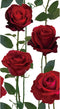 Zonon 50 Pcs Red Rose Paper Guest Towels Floral Guest Napkin 2 Ply