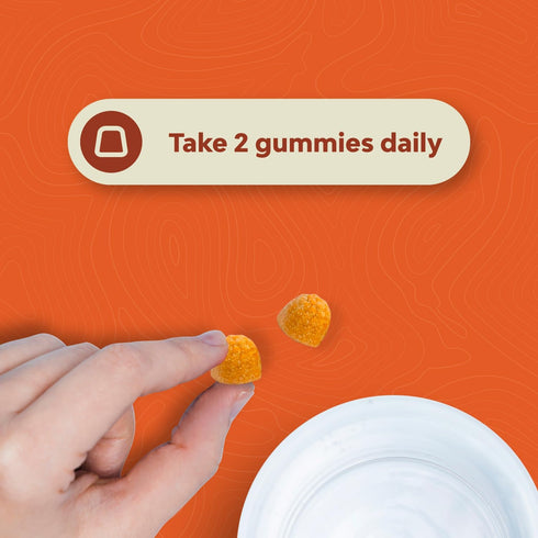 Turmeric Curcumin Immune Support Gummies, Joint Support and Skin Care Supplement
