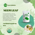 Organic Neem Powder, USDA Certified Ayurveda Herb, 8 oz Resealable Pouch, Promotes Healthy Hair & Clear Skin