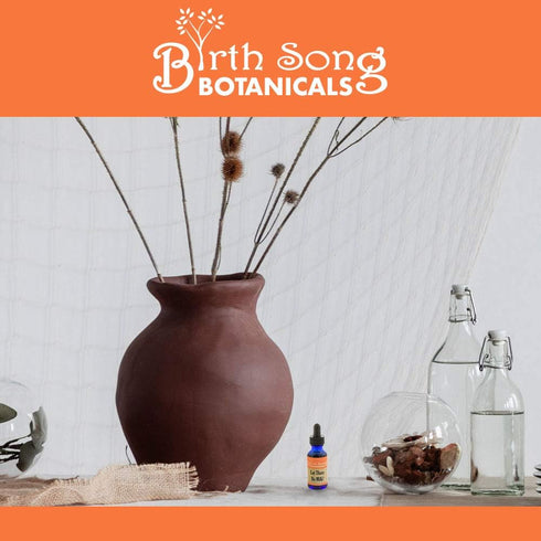 Let There Be Milk! Herbal Breastfeeding Tincture, Goat’s Rue, Fenugreek, Blessed Thistle, 1 oz
