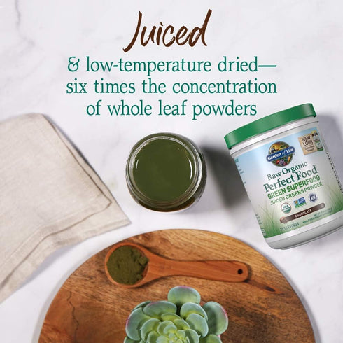 Garden of Life Raw Organic Perfect Food Green Superfood Powder - Chocolate, 30 Servings, 10.05 oz - Non-GMO, Vegan