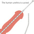 Rovamvia Urethral Sounds Beads Plug, Sex Toy of Penis Plug Urinary Dilator Urethral Stimulation Masturbation Rod