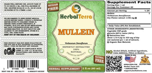 Mullein (Verbascum Densiflorum) Organic Glycerite, Alcohol-Free Liquid Extract, 2 oz
