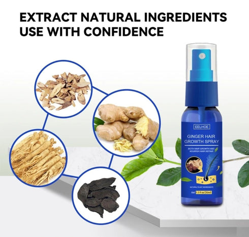 Ginger Hair Growth Spray. Promotes Thicker Longer Hair. Ginger Extract Prevents Baldness, and Moisturizes the Scalp. Promotes Hair regrowth, strengthens hair root nutrition. Repairs hair loss.
