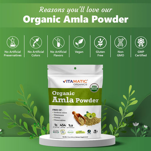 Vitamatic Amla Berry Powder 1 Pound (16 Ounce) - Certified USDA Organic, Rich in Antioxidant Vitamin C, Gluten Free