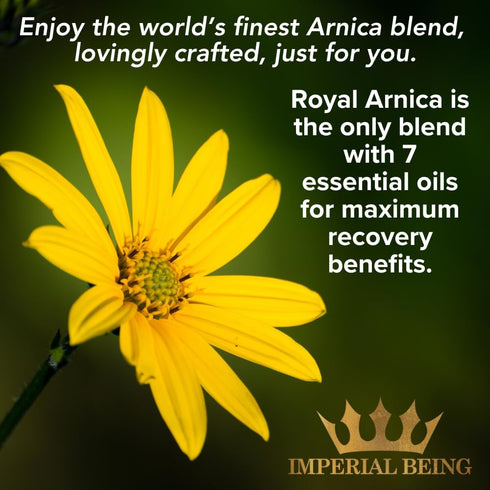 Royal Arnica Oil – Organic Herbal Blend for Muscle Recovery, Bruise Support, Joint Flexibility – 1oz