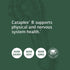 Standard Process Cataplex B - Whole Food Formula for Heart Health, 180 Tablets