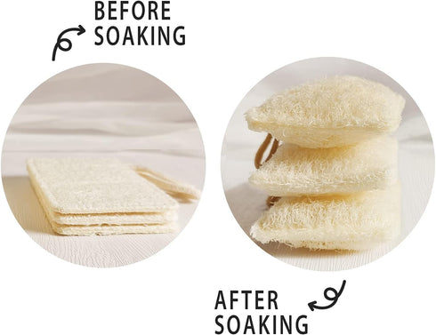 Natural Loofah Kitchen Dish Sponges Scrubber (6 Pack), Non-Scratch Eco-Friendly Plant Fiber Biodegradable Loofah Sponges
