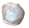 7-10 Gallon High Density Garbage Bags, Clear, 100 Bags, 6 Micron