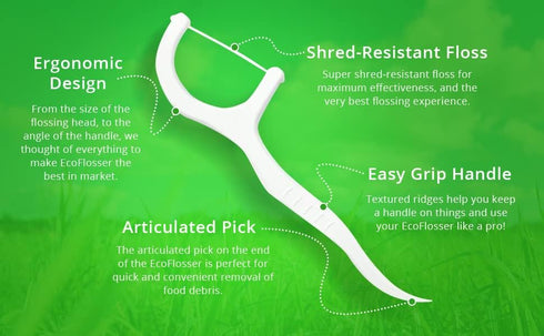 Ecofloss, 300 Picks, Reusable Tooth Floss Picks for Adults and Kids, Teeth Flossers