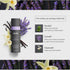 Cooling Body Spray with Menthol - Aromatherapy Scents for Relaxation, Concentration, and Energy (Relax - Lavender