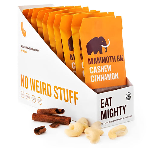 Cashew Cinnamon Bar- Organic, Paleo, Gluten Free and Raw by Mammoth Bar,