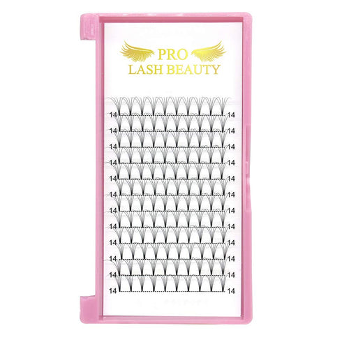 PRO LASHBEAUTY Premade Volume Eyelash Extensions, 5D, D Curl, 0.10mm, 14mm, Vegan, Individual