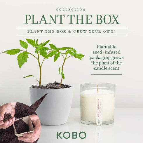 KOBO Wild Tomato Vine Candle, 9 oz | Plantable Box Collection | 100% Pure Soy Wax | Hand-Poured in USA