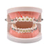 RZJZGZ Multi-Color Orthodontic Ligature Ties, 1040pcs Elastomeric O-Rings Braces Rubber Bands