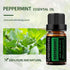 GREENSLEEVES Peppermint Essential Oil, 10ml Pure Plant-Based Fragrance for Aromatherapy, Diffuser & Soap Making