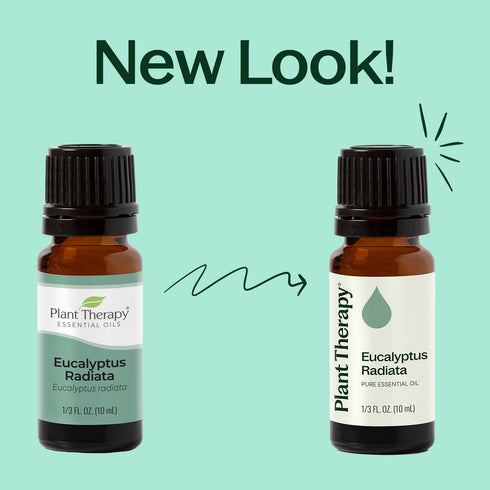 Plant Therapy Eucalyptus Radiata Essential Oil, 100 mL (3.3 oz), 100% Pure, Undiluted