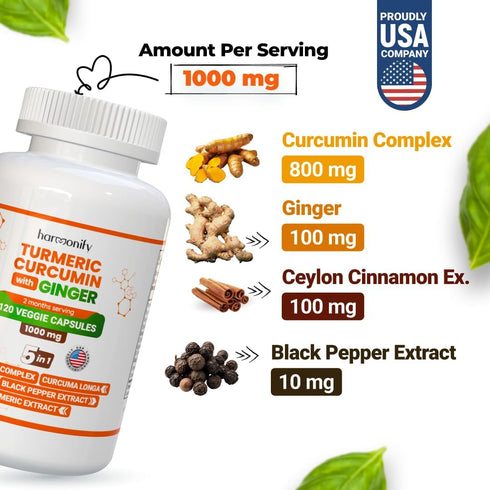 Turmeric Curcumin Supplement 5 in 1 Formula with Ginger, Ceylon Cinnamon, Black Pepper, 1000 mg, 120 Capsules