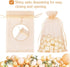 HRX Package 100pcs Blush Peach Organza Bags, 4 x 6 inch Mesh Drawstring Jewelry Pouches for Wedding Party Favor