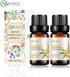 2-Pack Vanilla Essential Oil - 100% Pure Organic Natural Plant for Diffuser, Aroma, Spa, Massage - 2x10ML